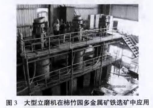大型立磨机在柿竹园多金属矿铁选矿中应用